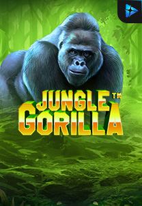 Jungle-Gorilla